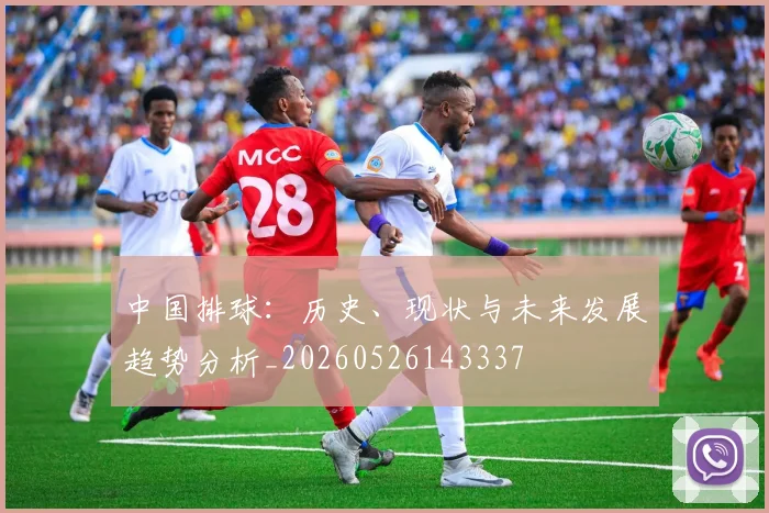 中国排球:历史、现状与未来发展趋势分析_20260526143337
