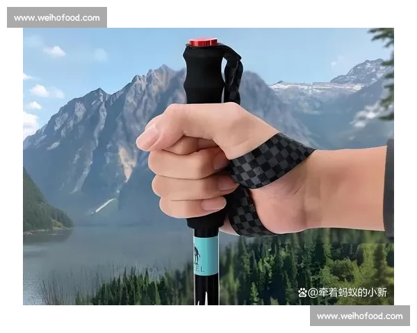 明星徒步同款！登山杖正确使用技巧全解析